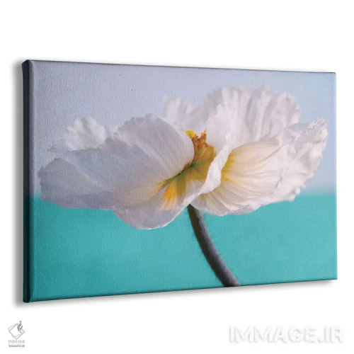 تابلو آفرینش اثر کلودیا دروسرت - نمای پرسپکتیو محصول