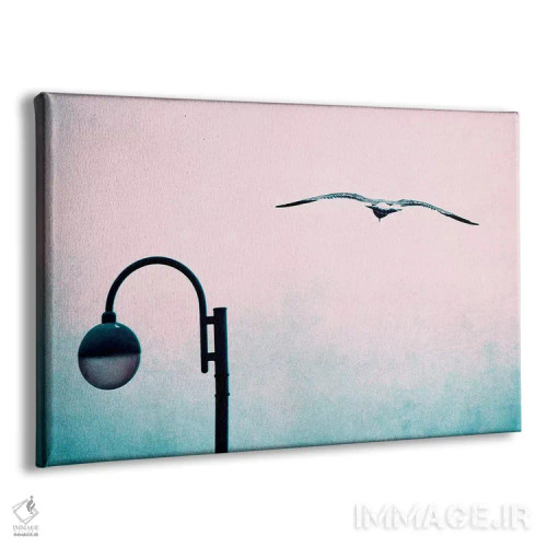 تابلو پرواز اثر کلودیا دروسرت - نمای پرسپکتیو محصول