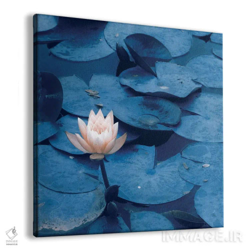 تابلو نیلوفرآبی اثر کلودیا دروسرت - نمای پرسپکتیو محصول