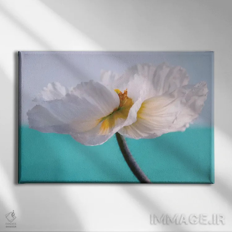 تابلو آفرینش اثر کلودیا دروسرت - نمای روبهرو روی دیوار