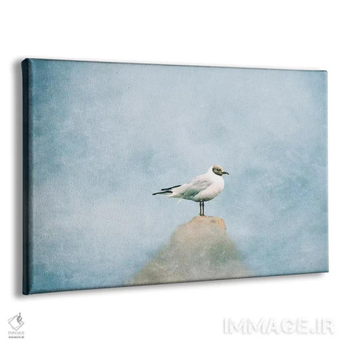 تابلو مرغ دریایی اثر کلودیا دروسرت - نمای پرسپکتیو محصول