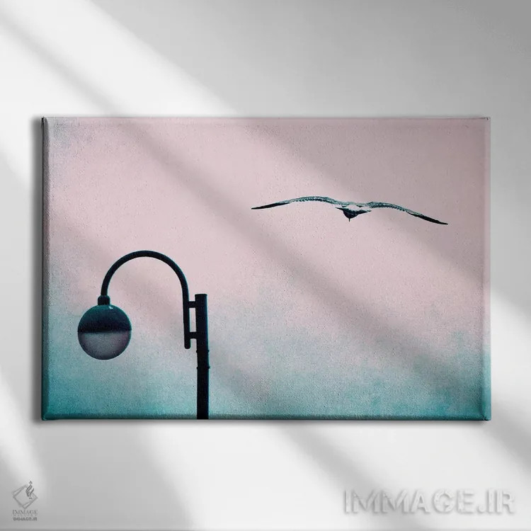 تابلو پرواز اثر کلودیا دروسرت - نمای روبهرو روی دیوار