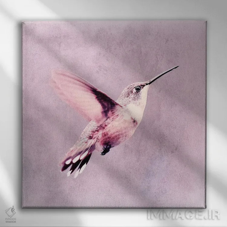 تابلو مرغ مگسخوار (آلمانی) اثر کلودیا دروسرت - نمای روبهرو روی دیوار