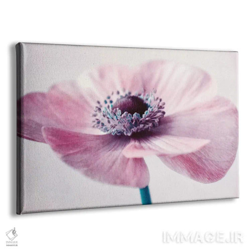 تابلو پر از گل اثر کلودیا دروسرت - نمای پرسپکتیو محصول