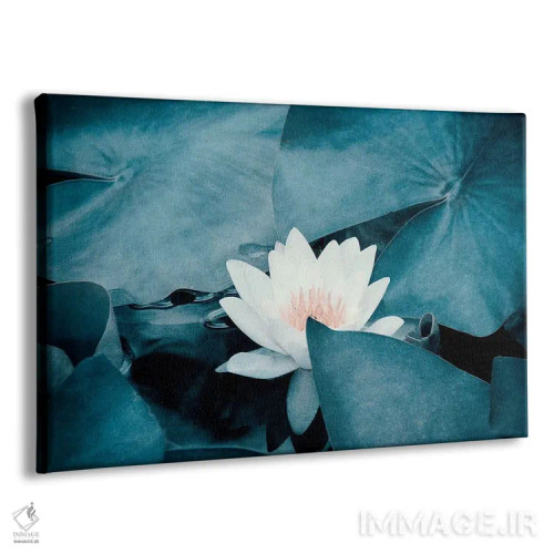 تابلو نیلوفر آبی اثر کلودیا دروسرت - نمای پرسپکتیو محصول