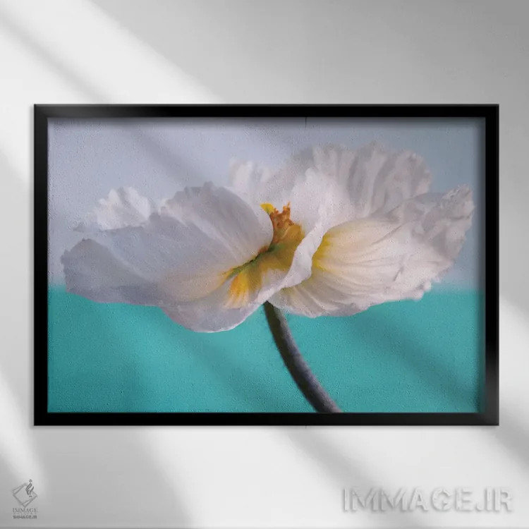 تابلو آفرینش اثر کلودیا دروسرت - نمای قابدار مشکی