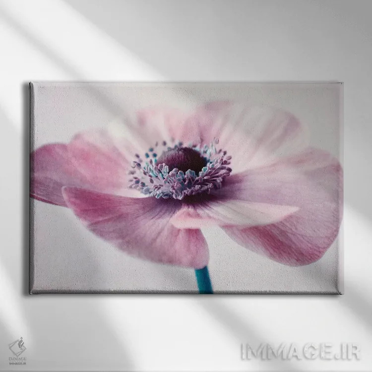 تابلو پر از گل اثر کلودیا دروسرت - نمای روبهرو روی دیوار