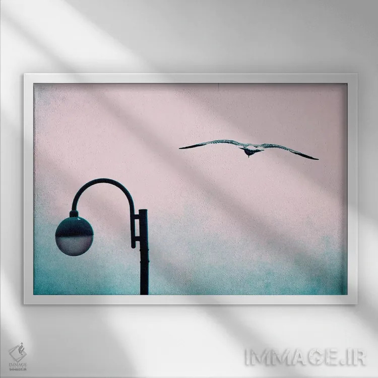 تابلو پرواز اثر کلودیا دروسرت - نمای قابدار سفید