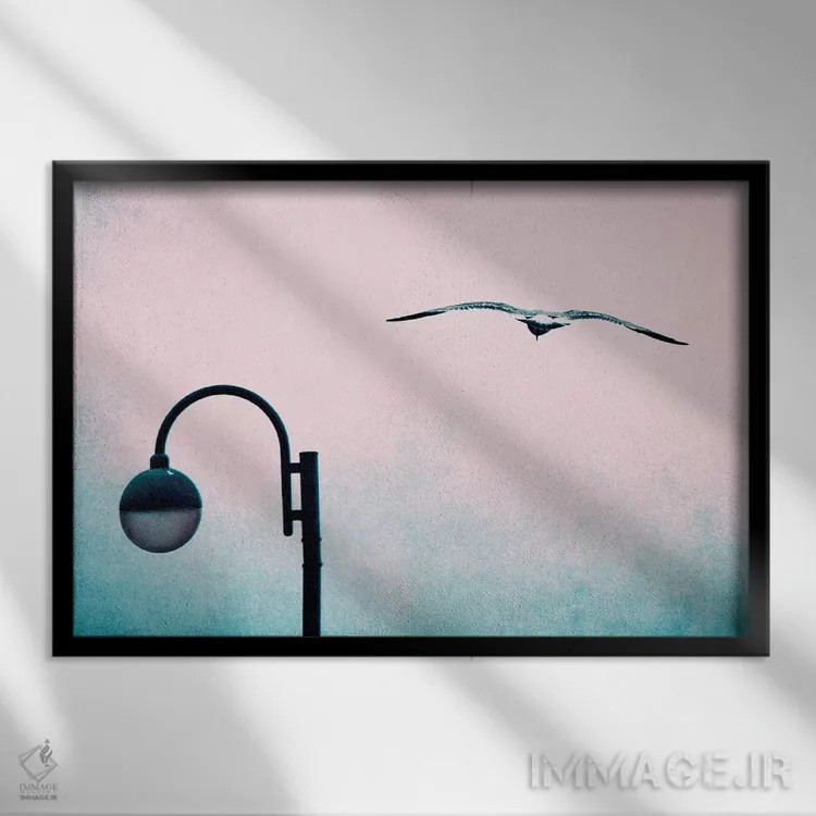 تابلو پرواز اثر کلودیا دروسرت - نمای قابدار مشکی