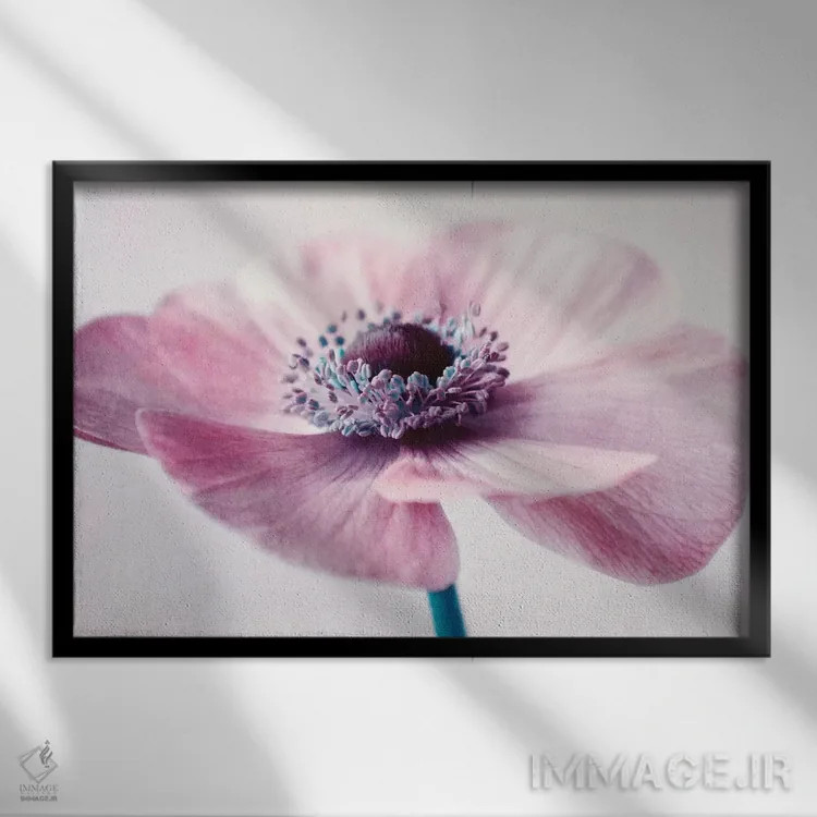 تابلو پر از گل اثر کلودیا دروسرت - نمای قابدار مشکی