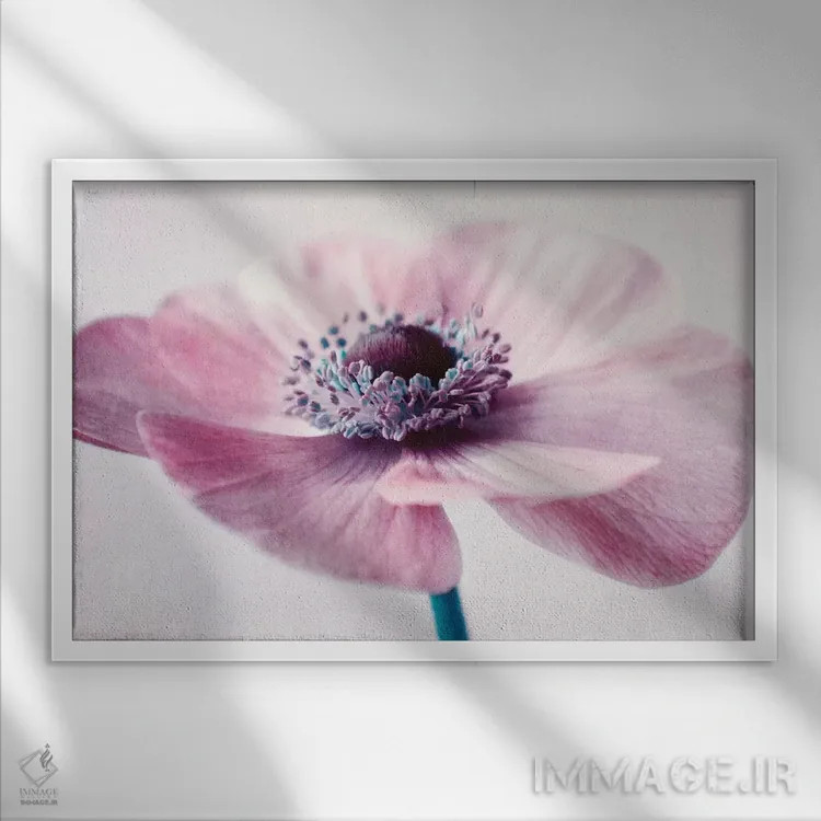 تابلو پر از گل اثر کلودیا دروسرت - نمای قابدار سفید