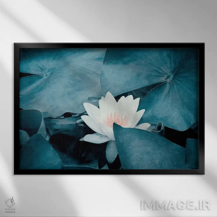 تابلو نیلوفر آبی اثر کلودیا دروسرت - نمای قابدار مشکی