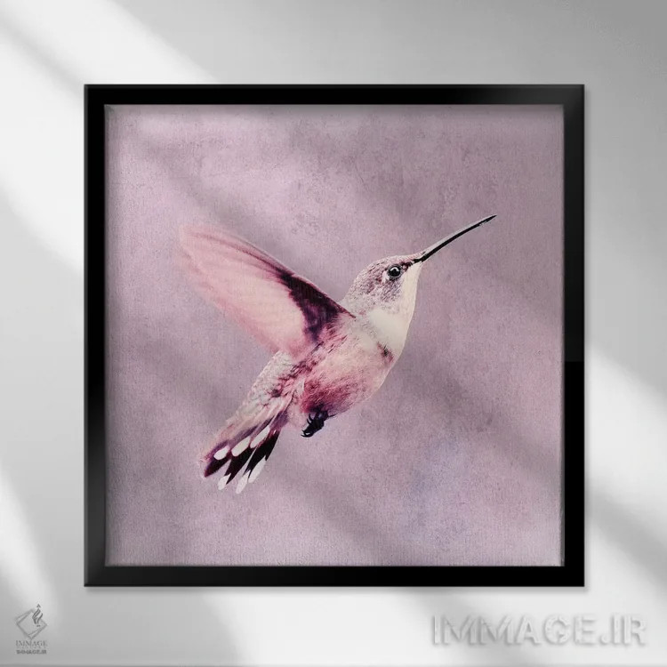 تابلو مرغ مگسخوار (آلمانی) اثر کلودیا دروسرت - نمای قابدار مشکی