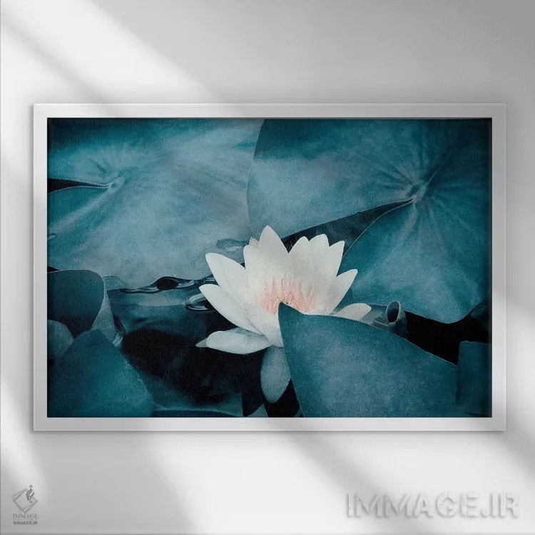 تابلو نیلوفر آبی اثر کلودیا دروسرت - نمای قابدار سفید