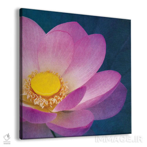 تابلو نیلوفر صورتی اثر کلودیا دروسرت - نمای پرسپکتیو محصول