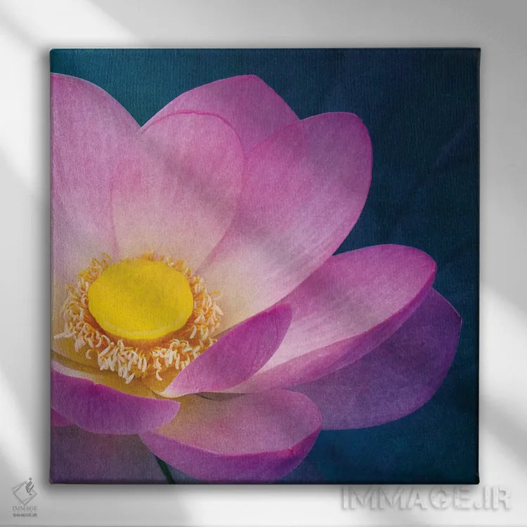 تابلو نیلوفر صورتی اثر کلودیا دروسرت - نمای روبهرو روی دیوار