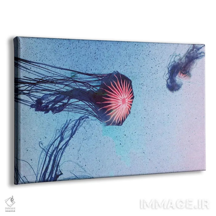 تابلو عروس دریایی I اثر کلودیا دروسرت - نمای پرسپکتیو محصول
