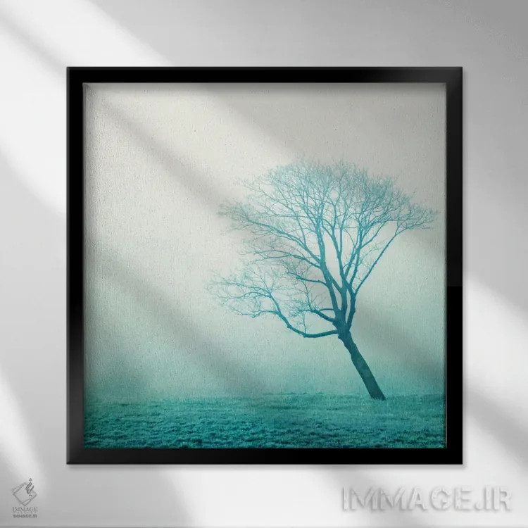 تابلو مه (ایتالیایی) اثر کلودیا دروسرت - نمای قابدار مشکی