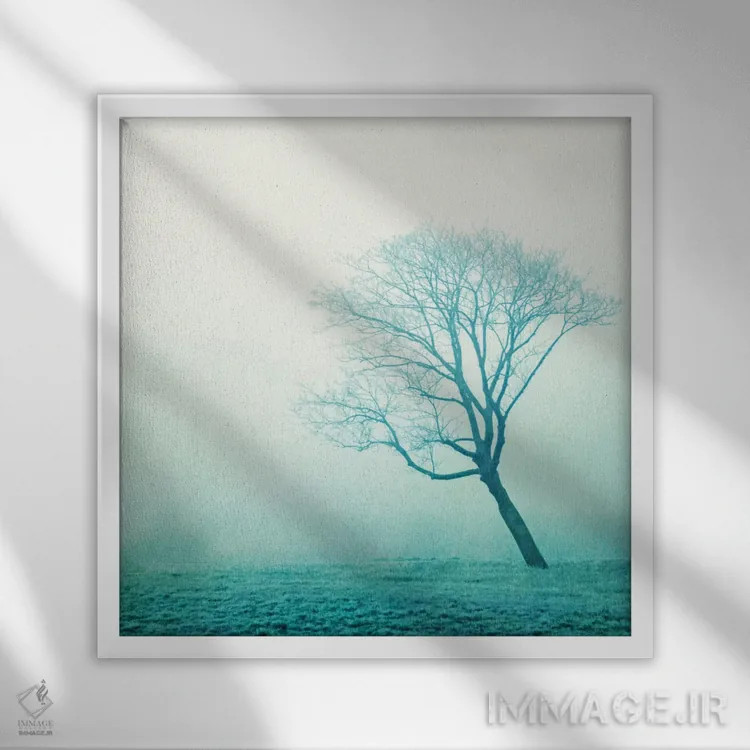 تابلو مه (ایتالیایی) اثر کلودیا دروسرت - نمای قابدار سفید