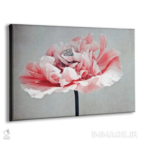 تابلو خشخاش مرجانی اثر کلودیا دروسرت - نمای پرسپکتیو محصول