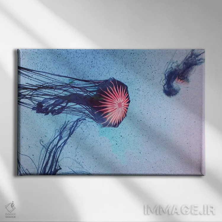 تابلو عروس دریایی I اثر کلودیا دروسرت - نمای روبهرو روی دیوار