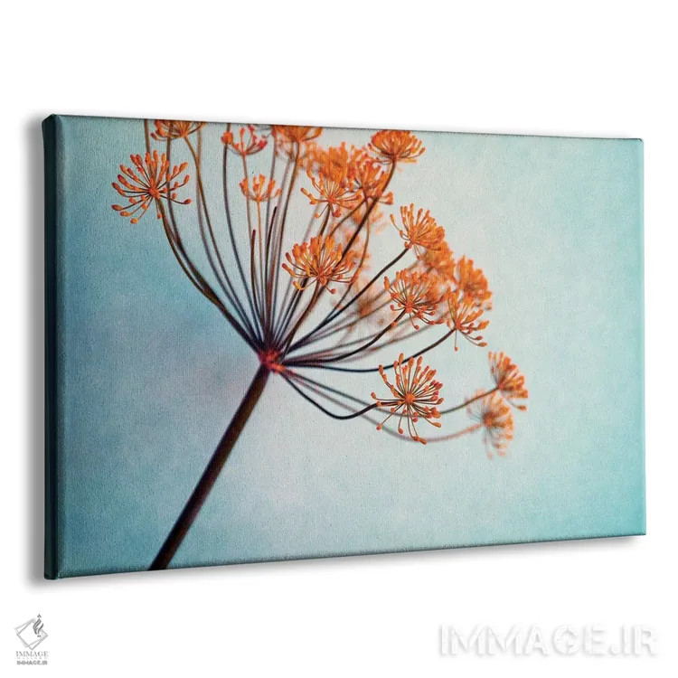 تابلو دیلی (نام کوچک) اثر کلودیا دروسرت - نمای پرسپکتیو محصول