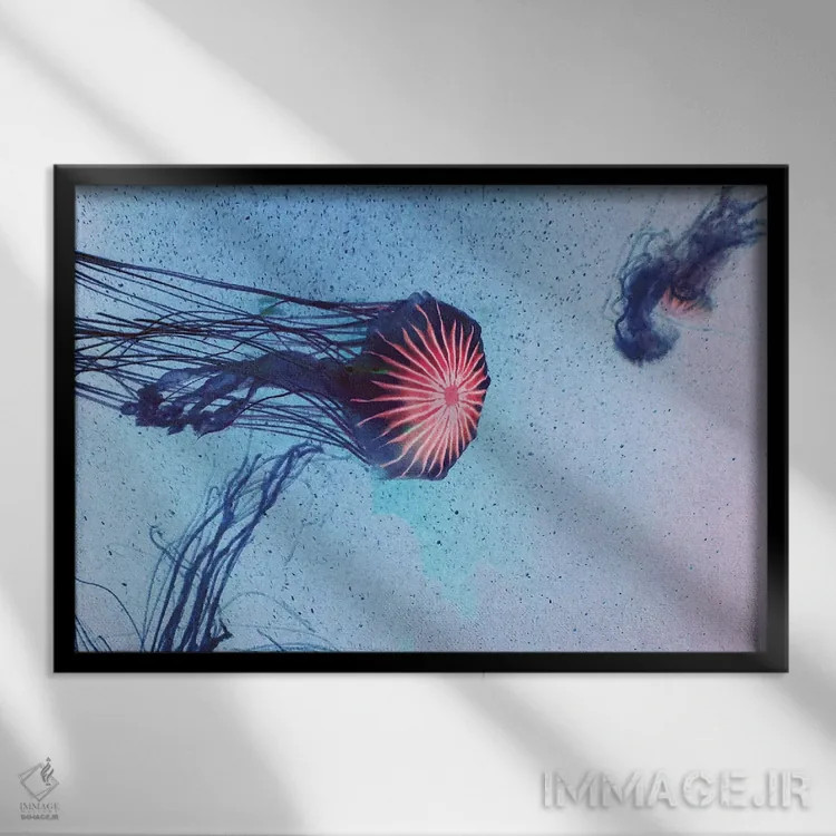 تابلو عروس دریایی I اثر کلودیا دروسرت - نمای قابدار مشکی