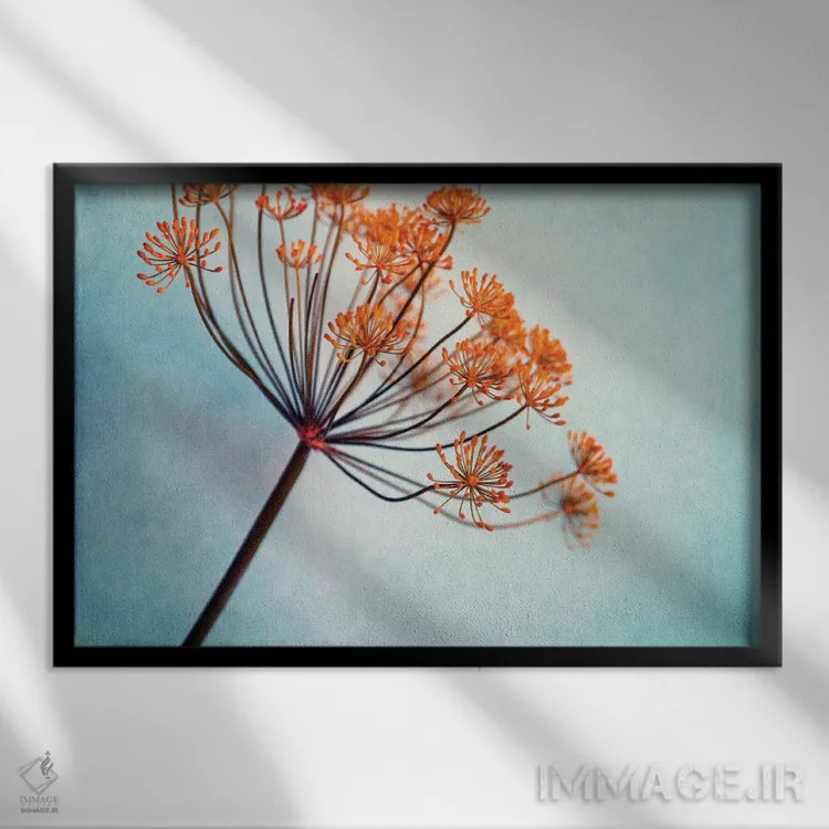 تابلو دیلی (نام کوچک) اثر کلودیا دروسرت - نمای قابدار مشکی