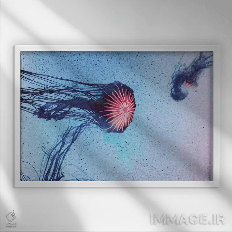 تابلو عروس دریایی I اثر کلودیا دروسرت - نمای قابدار سفید