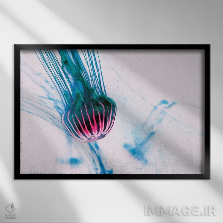 تابلو عروس دریایی III اثر کلودیا دروسرت - نمای قابدار مشکی