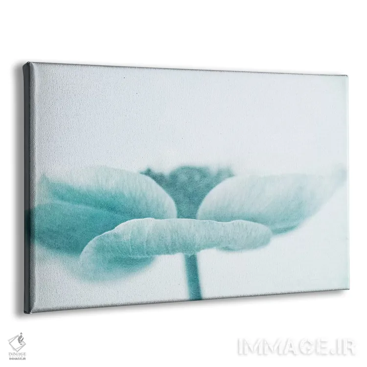 تابلو ملایم اثر کلودیا دروسرت - نمای پرسپکتیو محصول