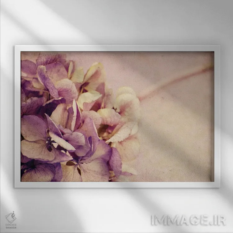 تابلو اتا (نام یونانی یا حرف یونانی η) اثر کلودیا دروسرت - نمای قابدار سفید