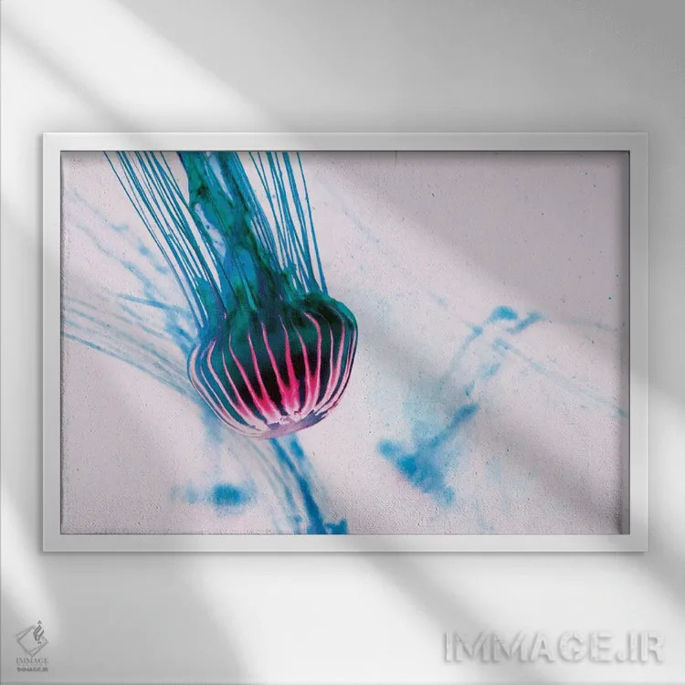 تابلو عروس دریایی III اثر کلودیا دروسرت - نمای قابدار سفید