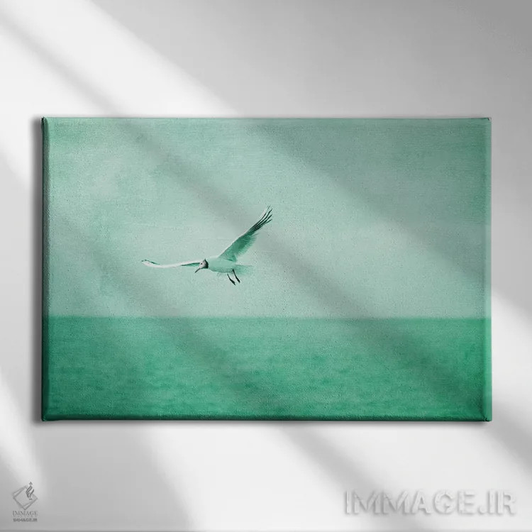 تابلو آزاد اثر کلودیا دروسرت - نمای روبهرو روی دیوار