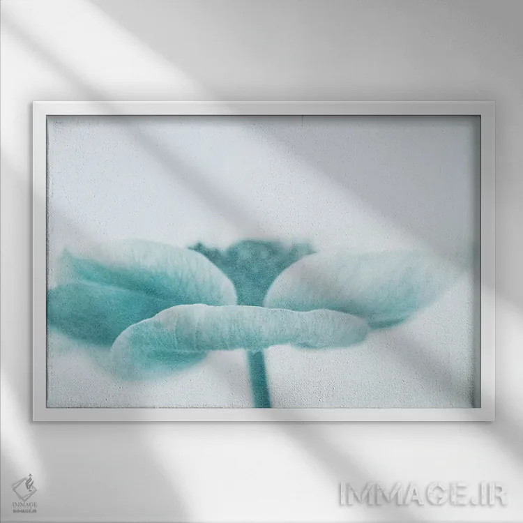 تابلو ملایم اثر کلودیا دروسرت - نمای قابدار سفید