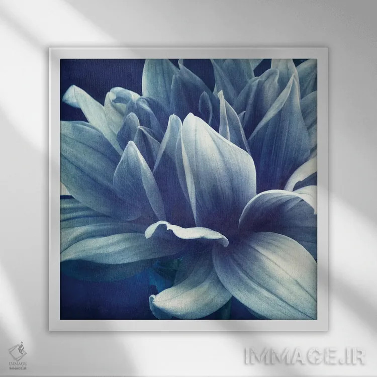 تابلو دالیای آبی اثر کلودیا دروسرت - نمای قابدار سفید