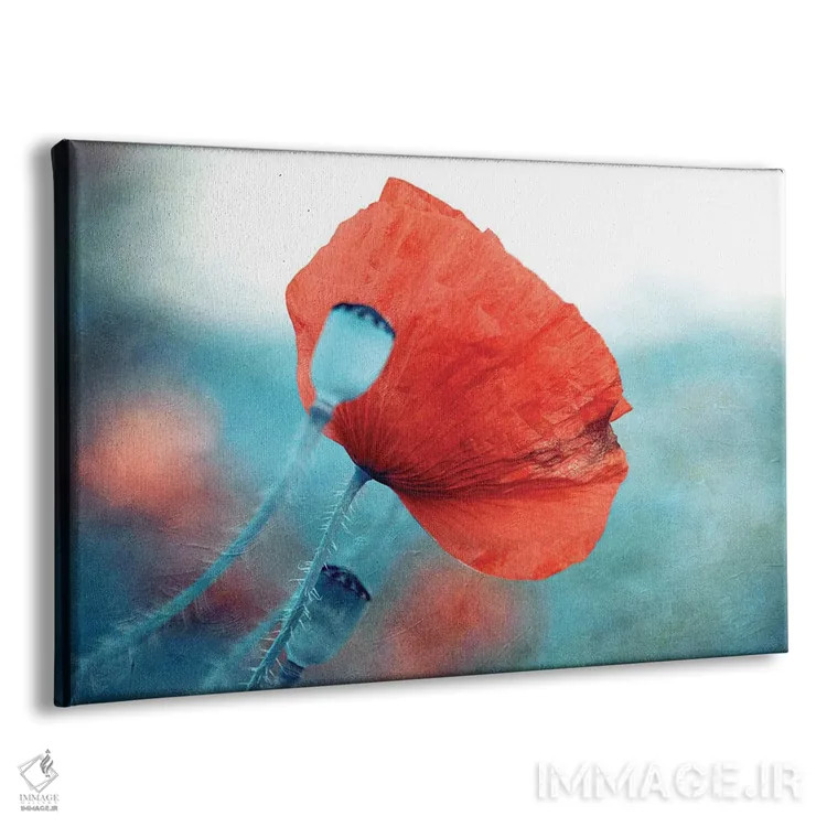 تابلو خشخاش قرمز اثر کلودیا دروسرت - نمای پرسپکتیو محصول
