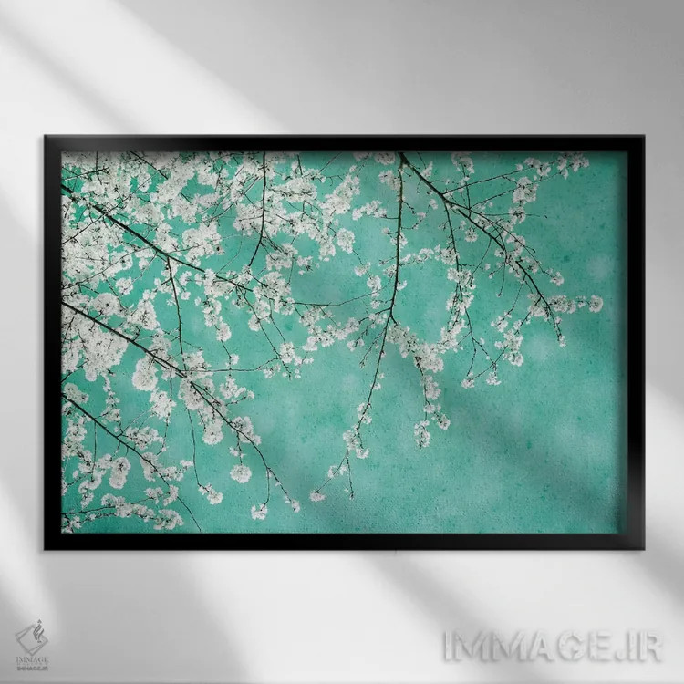 تابلو شکوفههای گیلاس اثر کلودیا دروسرت - نمای قابدار مشکی