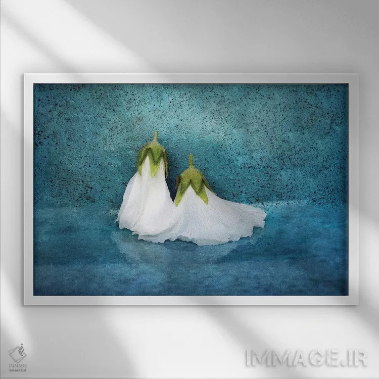 تابلو پرستش اثر کلودیا دروسرت - نمای قابدار سفید