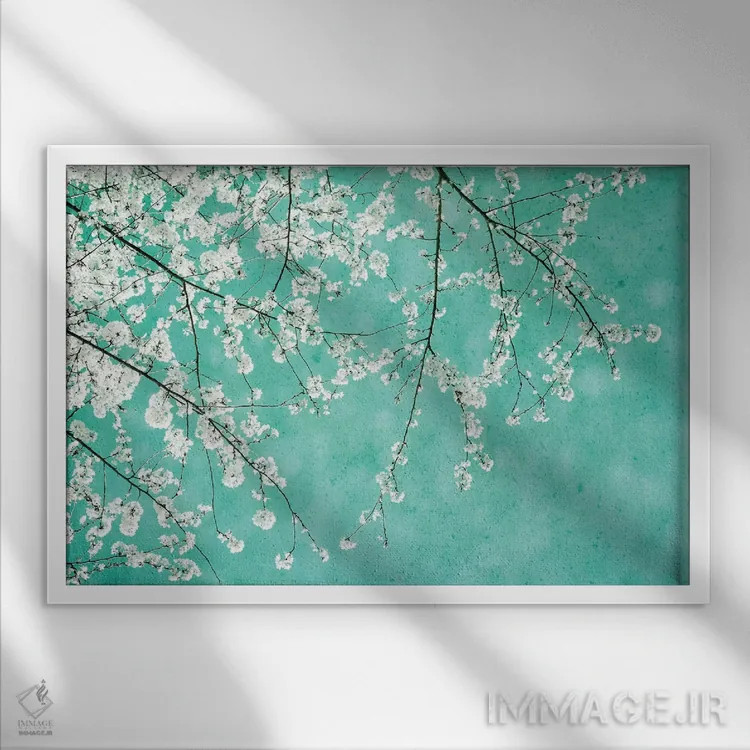 تابلو شکوفههای گیلاس اثر کلودیا دروسرت - نمای قابدار سفید