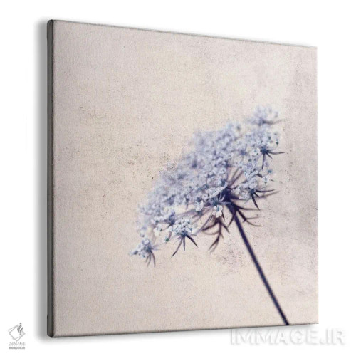 تابلو فلورازول (نام خاص) اثر کلودیا دروسرت - نمای پرسپکتیو محصول