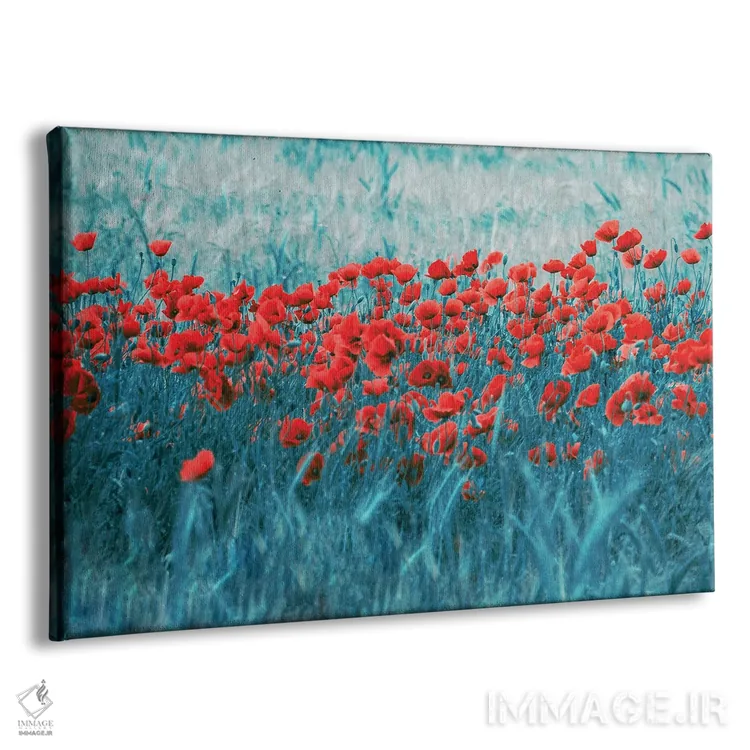 تابلو مزرعهٔ شقایق اثر کلودیا دروسرت - نمای پرسپکتیو محصول