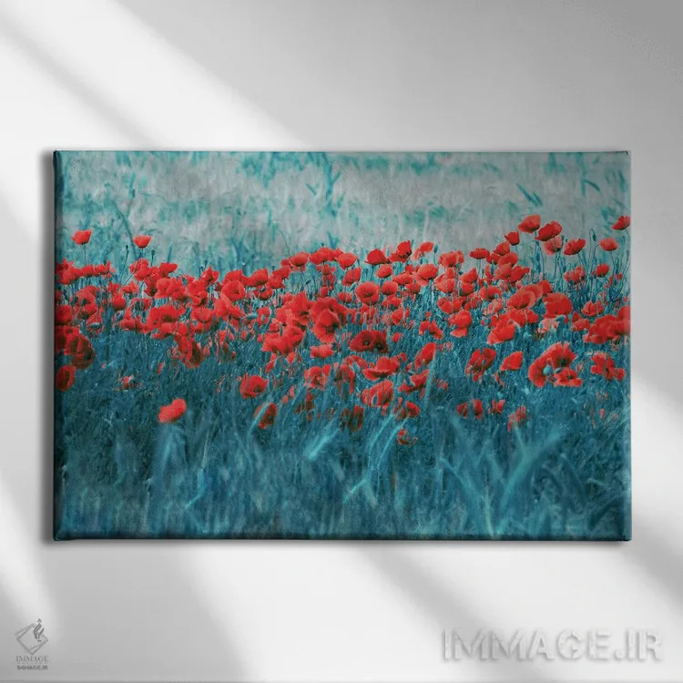 تابلو مزرعهٔ شقایق اثر کلودیا دروسرت - نمای روبهرو روی دیوار