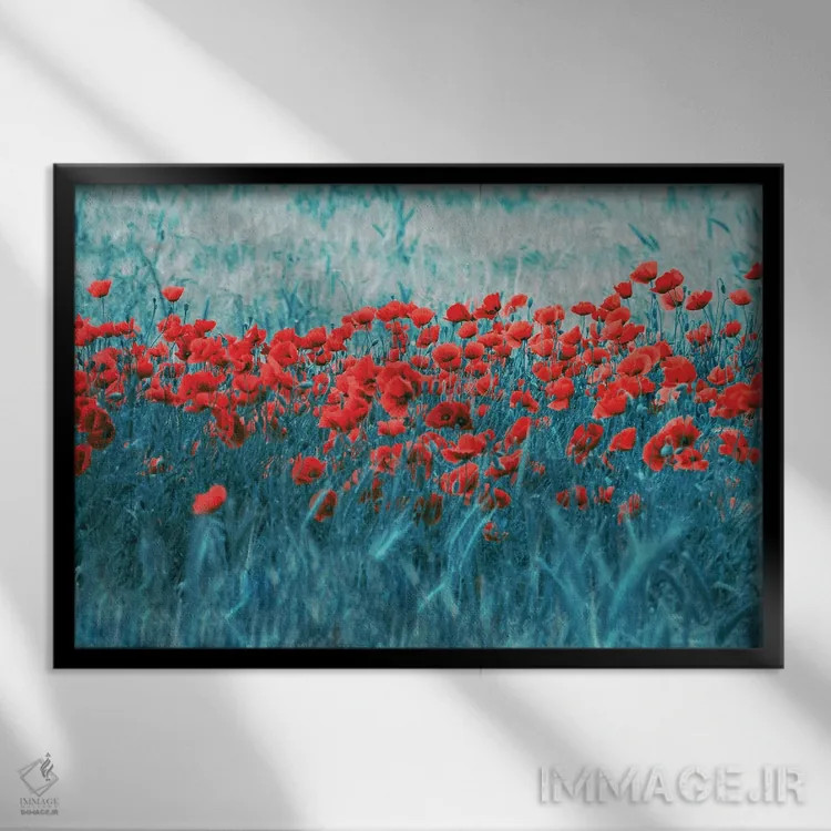 تابلو مزرعهٔ شقایق اثر کلودیا دروسرت - نمای قابدار مشکی