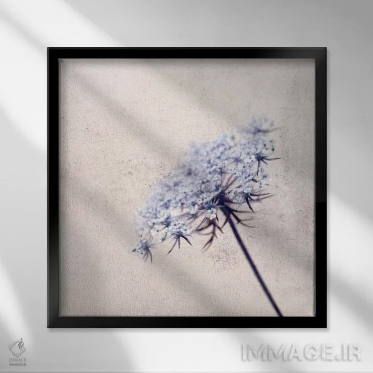 تابلو فلورازول (نام خاص) اثر کلودیا دروسرت - نمای قابدار مشکی