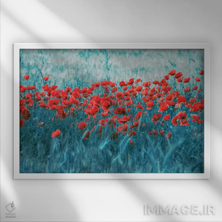 تابلو مزرعهٔ شقایق اثر کلودیا دروسرت - نمای قابدار سفید