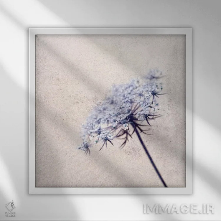 تابلو فلورازول (نام خاص) اثر کلودیا دروسرت - نمای قابدار سفید