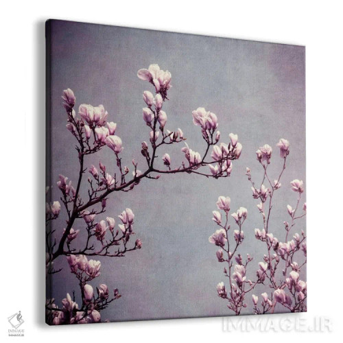 تابلو مگنولیا II اثر کلودیا دروسرت - نمای پرسپکتیو محصول