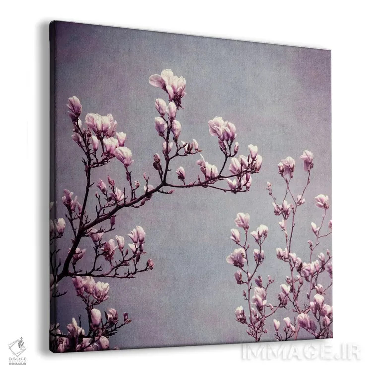 تابلو مگنولیا II اثر کلودیا دروسرت - نمای پرسپکتیو محصول