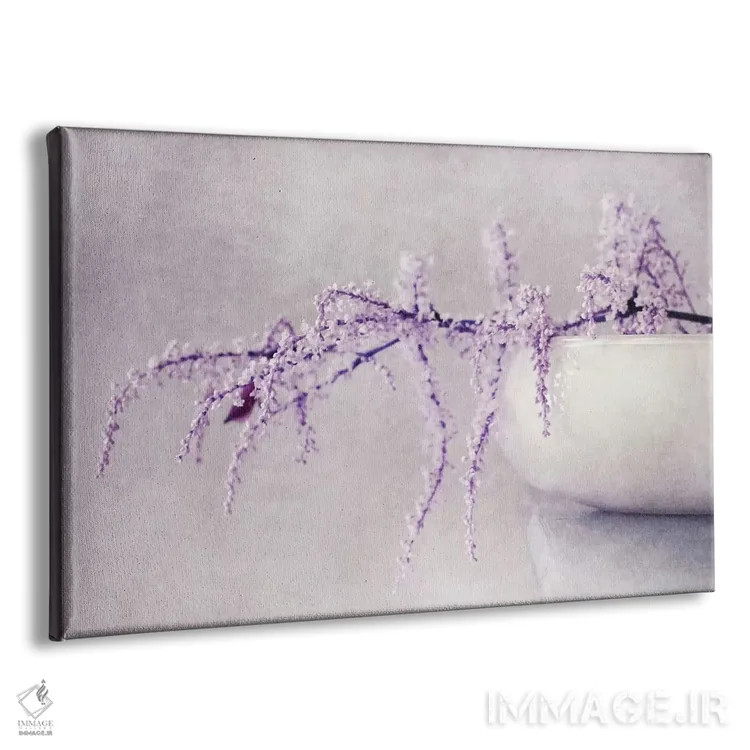 تابلو آرامش (اسم فرانسوی) اثر کلودیا دروسرت - نمای پرسپکتیو محصول